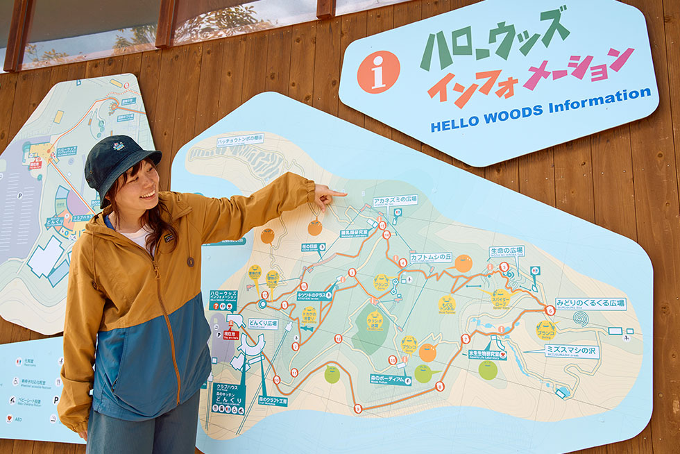 ハローウッズの森