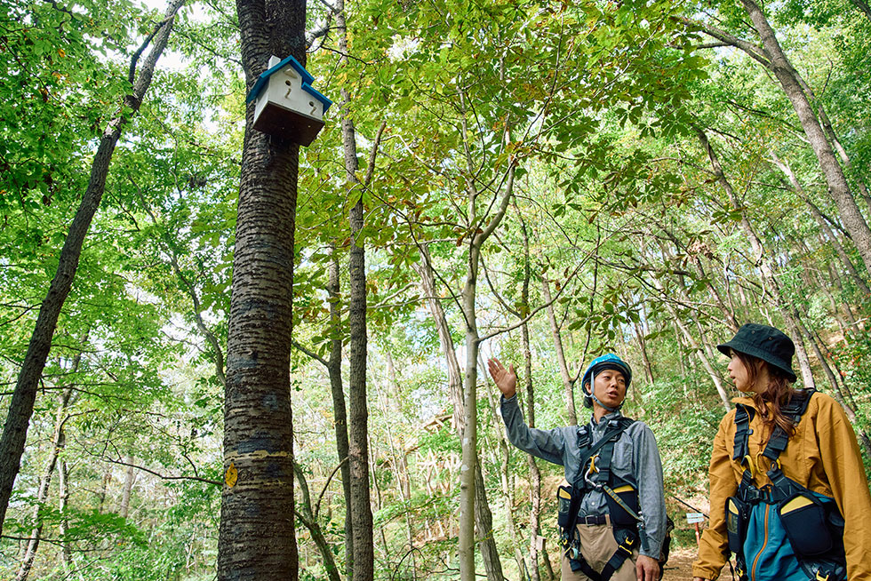 森のジップライン ムササビ