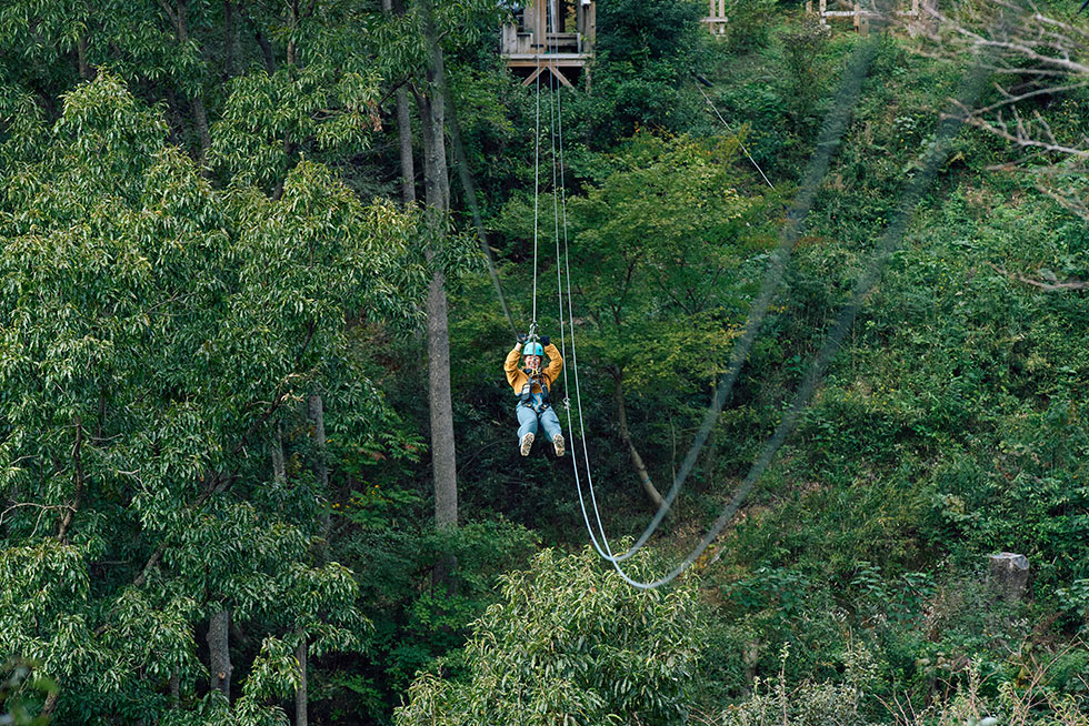 森のジップライン ムササビ