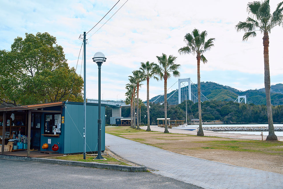 ドルフィンファームオートキャンプ場