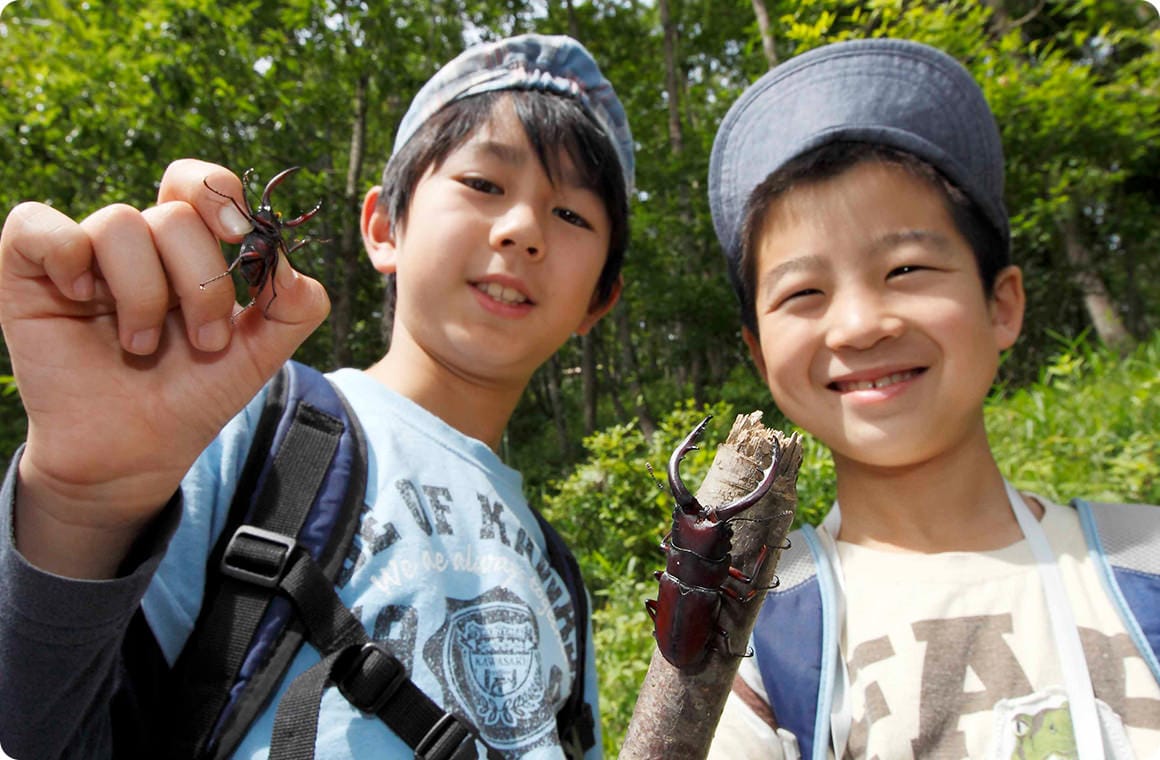 ノコギリクワガタをゲット！ これはいいスタートだぞ！