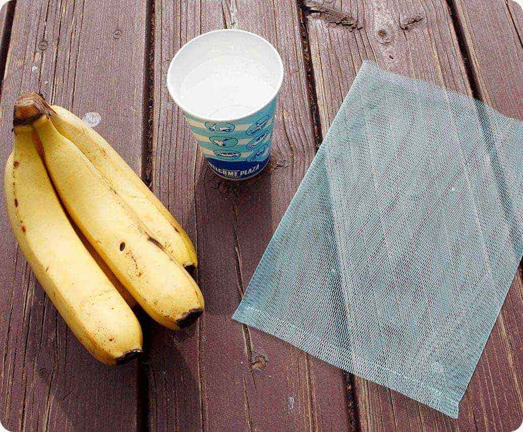 トラップ作りに必要なもの。ネット、焼酎、バナナ