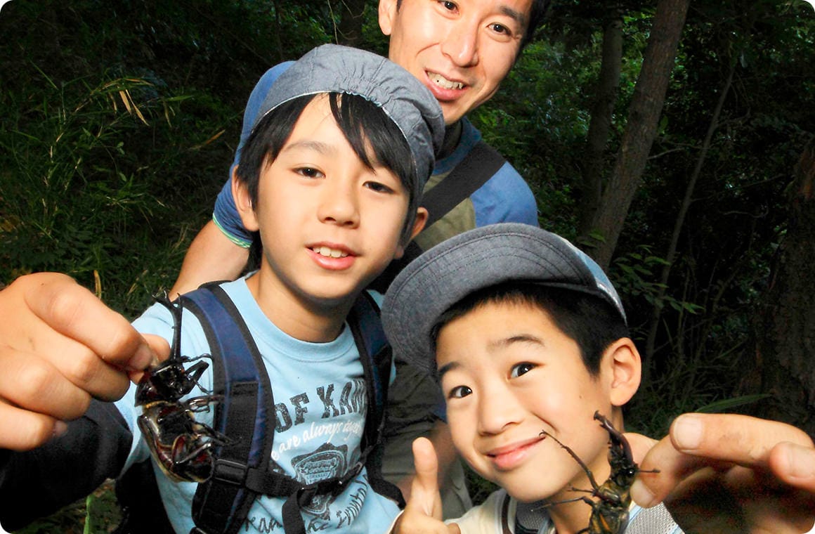 カブトムシをゲット