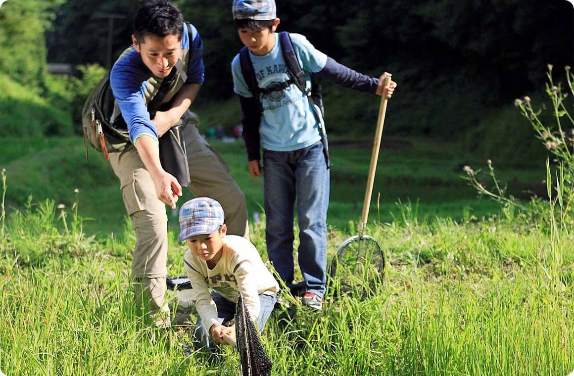いた！ タガメ発見。静かに網を伸ばして……捕まえられるかなぁ