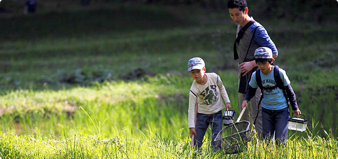 子どもが喜ぶ昆虫採集 -日本最大の水生昆虫、タガメを探せ！-