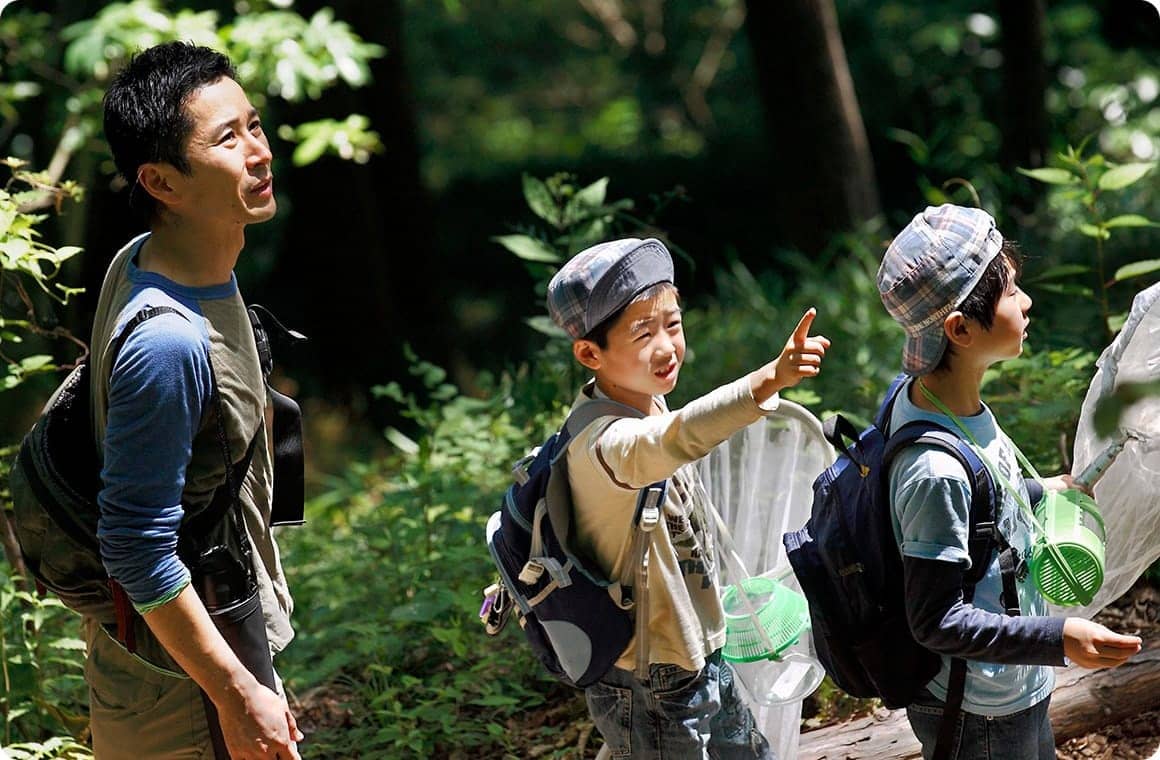 新緑の中で昆虫採集スタート！