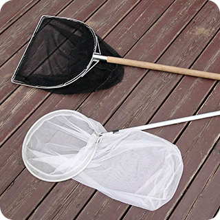 【昆虫採集入門】昆虫採集に必要な用具