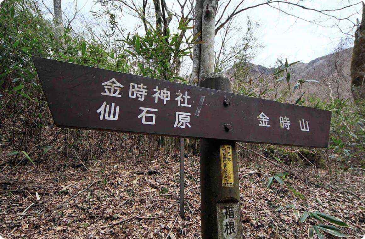 人気のコースには案内板があるから安心