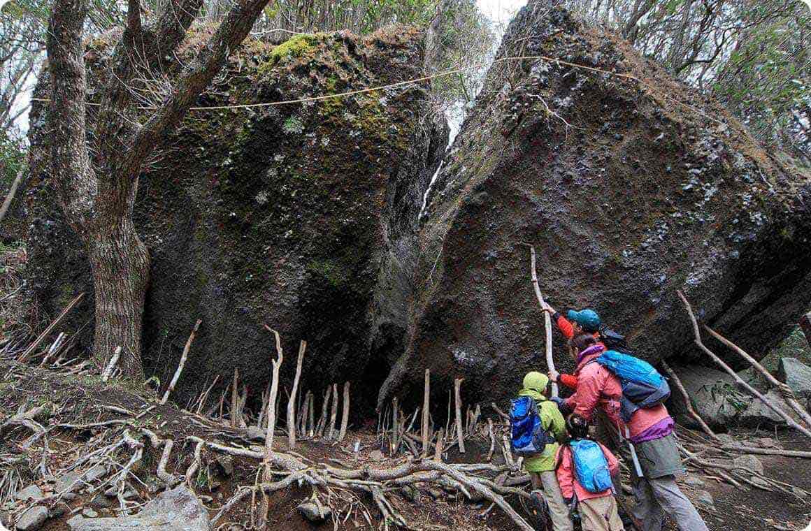 今にも転がってきそうな巨岩に子どもたちもびっくり！ 支えてる木を外したらどうなるかな？