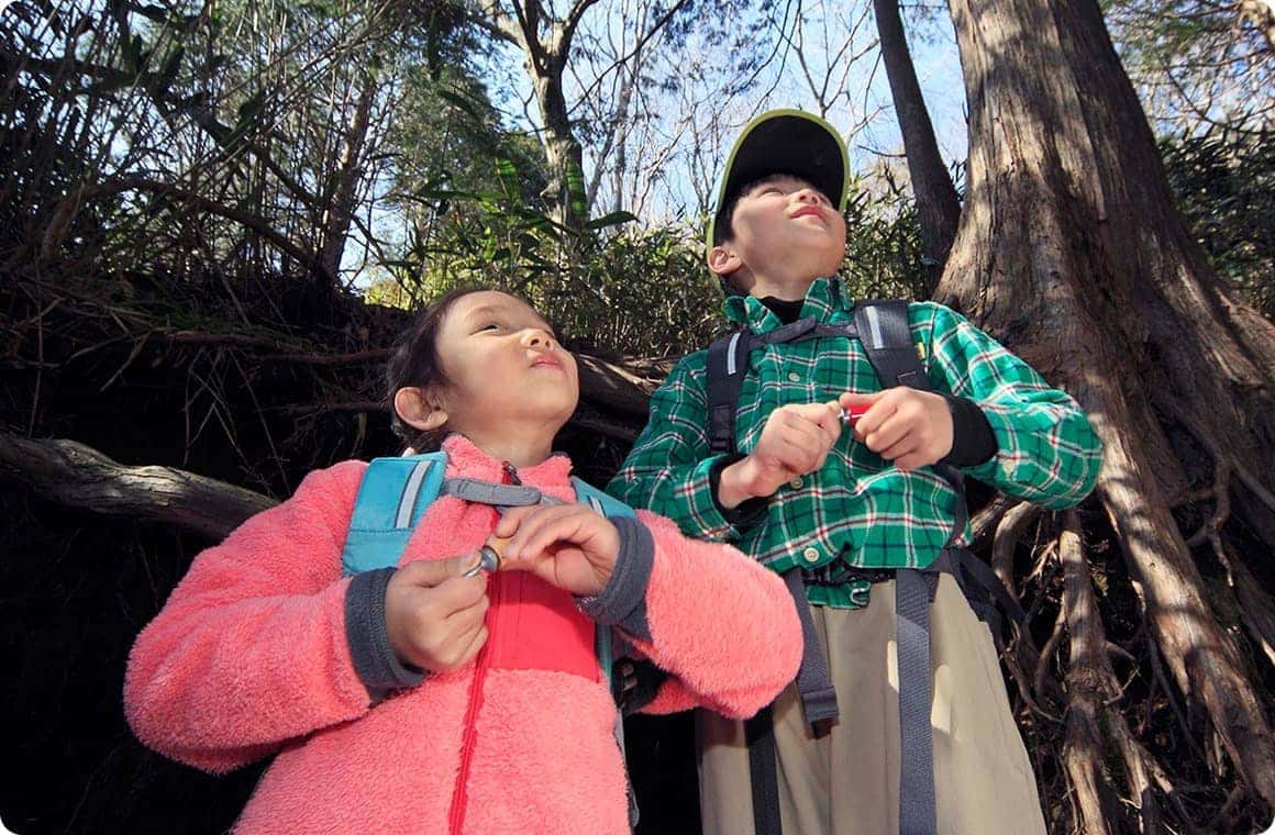 バードコールを使う子供