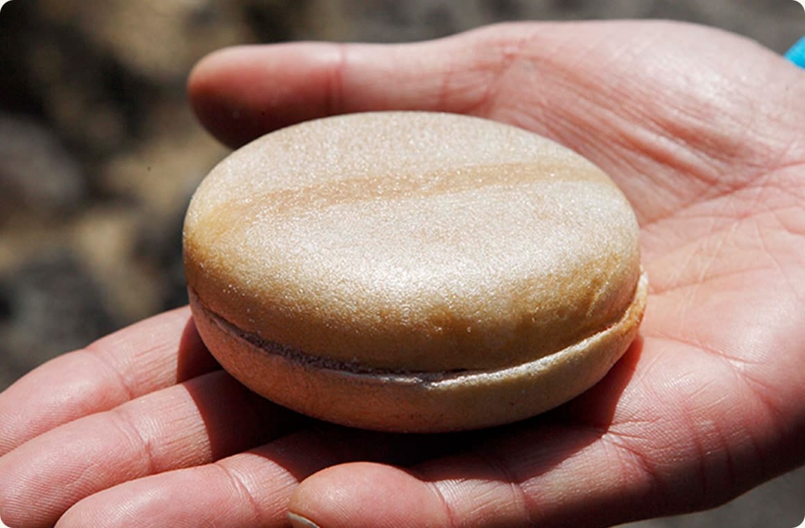 これがインスタントのおしるこ