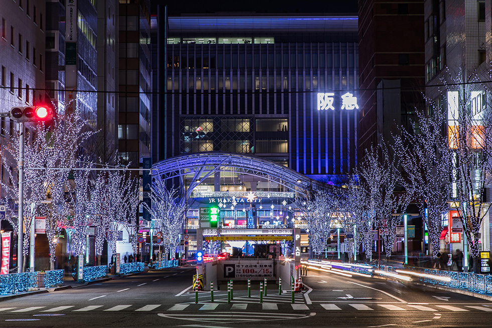 昨年は雪景色を思わせるホワイト&ブルー系のライトが中心でした 昨年は雪景色を思わせるホワイト&ブルー系のライトが中心でした