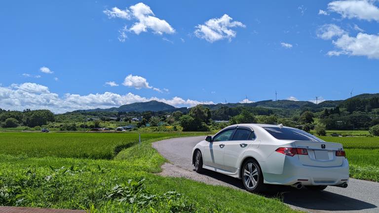 束の間の夏休み