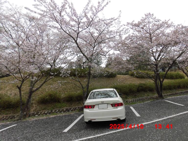 お出掛けにはもってこいのシーズン到来