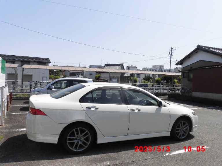 気持ちが伝わり嬉しそうにほくそ笑む姿
