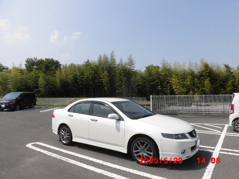 近年注目されて人気の旧車に仲間入りできる