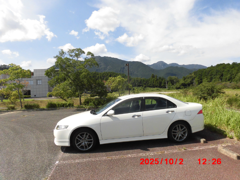 毎日のように酷使されているにも関わらず