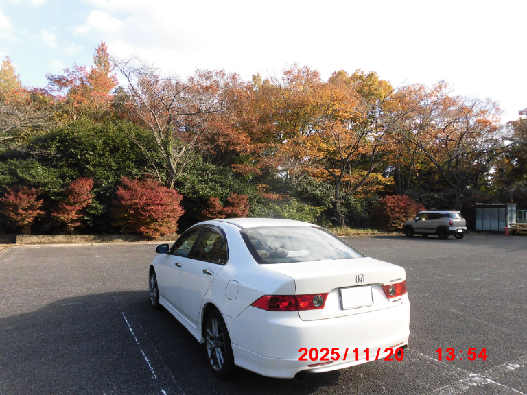 これからも末永くサポートしてくれるもの