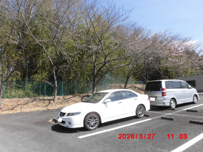 空腹を我慢するのは辛いのだが耐えてほしい