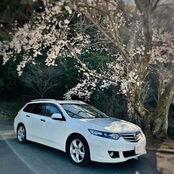 一緒にみる最後の桜だね