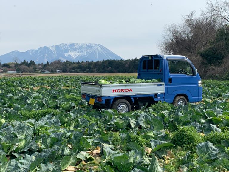 仕事を支える相棒です