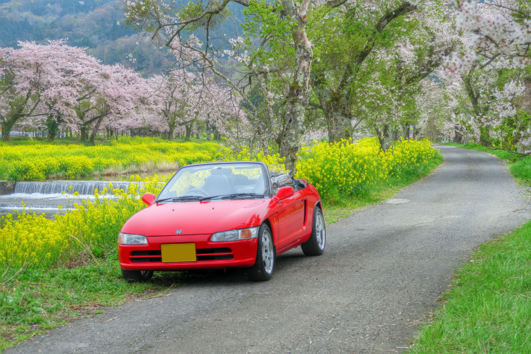 クルマの楽しさ詰まってます