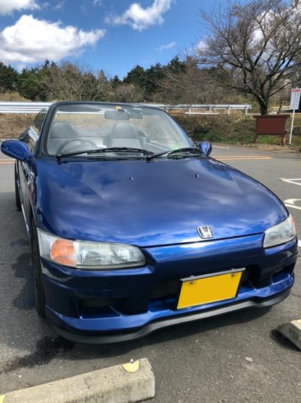 やっと手に入れました!