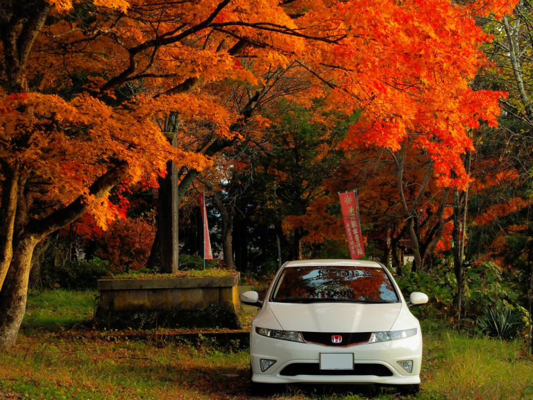 シビックと紅葉と。