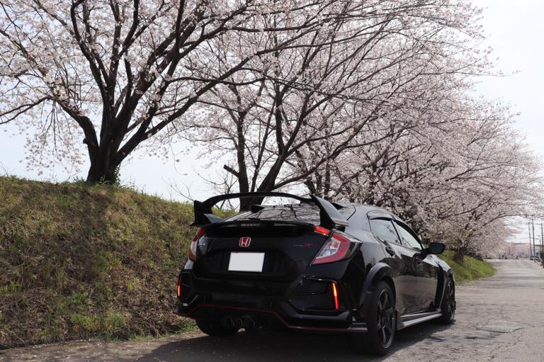 桜×FK8