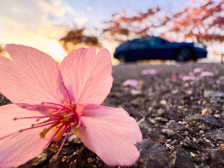 飾らないかっこよさ