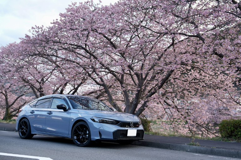 河津桜に囲まれて