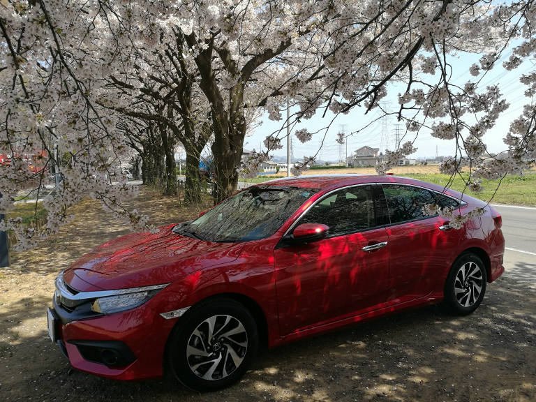 新たな相棒との花見