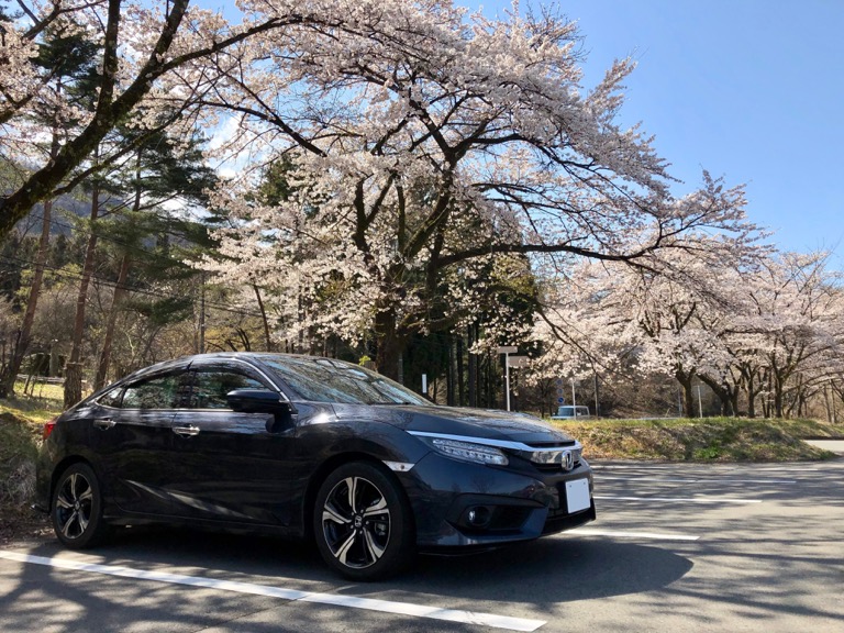 大きくなっても市民の車