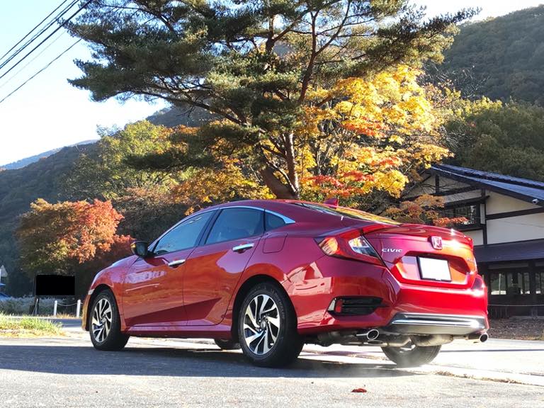 紅葉とシビックの調和?