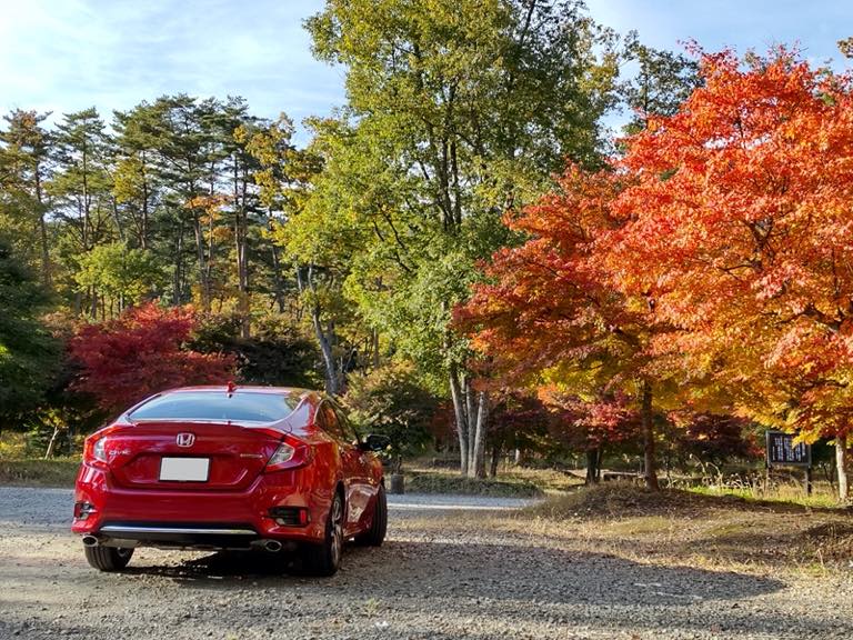 紅葉とシビックの調和?