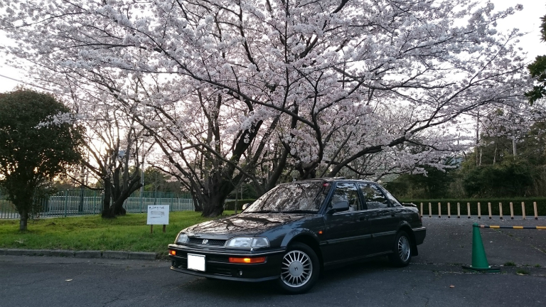 娘の洗車ごっこ