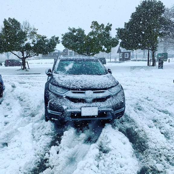 雪に映える車