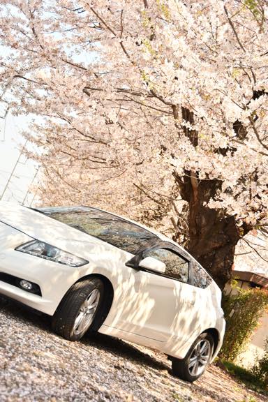 コンパクトでカッコイイ愛車