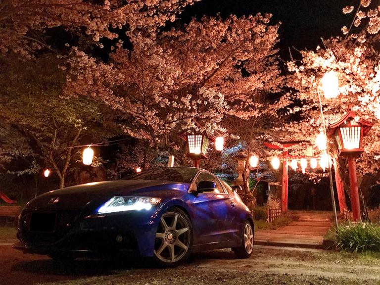 夜桜を佩び