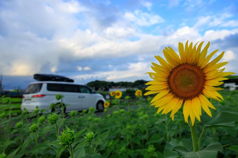 2021夏　まだまだ乗ります。