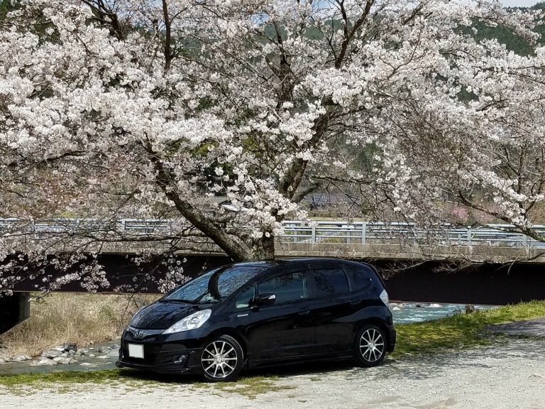 桜と清流とフィット