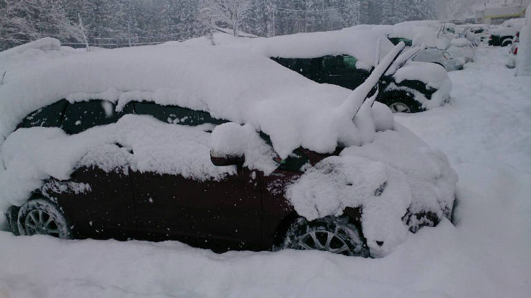 今年の大雪