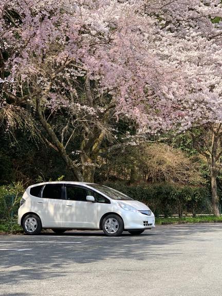 桜と共に…