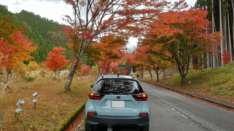 紅葉の洞川（奈良県）