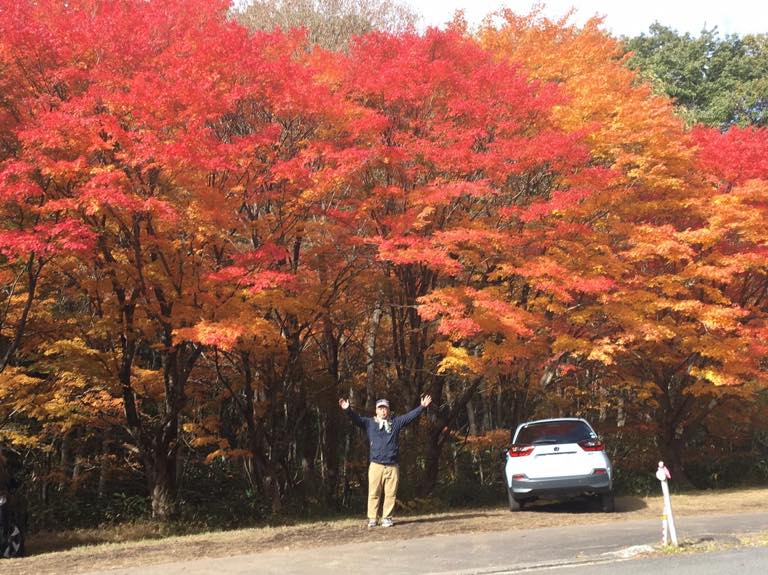 紅葉とフィット