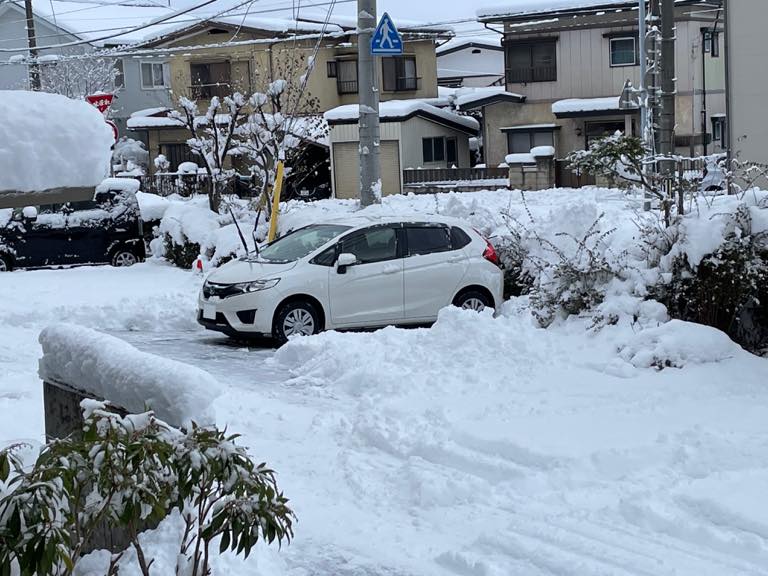 大好きな車