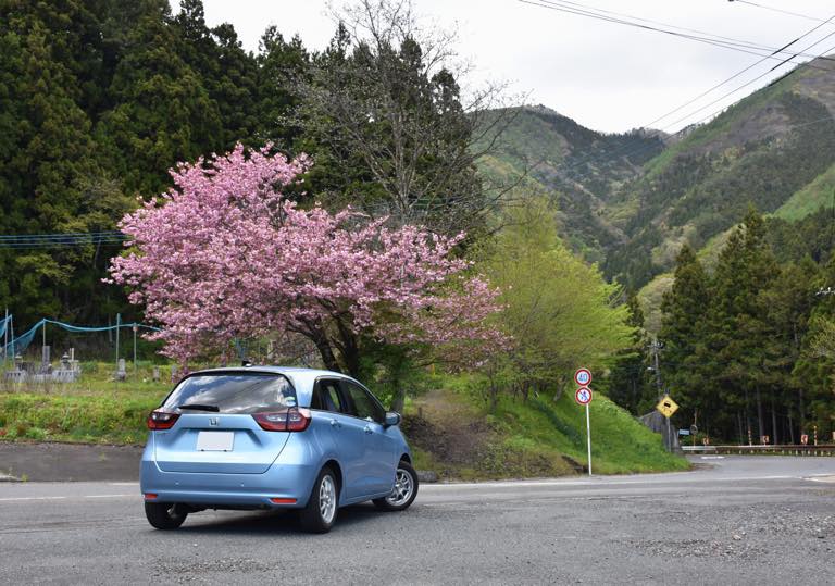 初めての車検を受けました