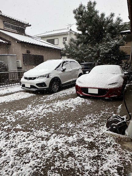 初雪とフィット