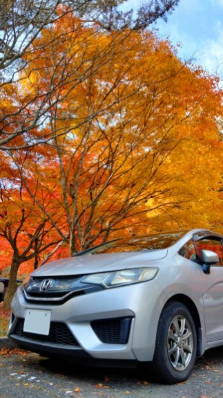 ありがとう、そしてさようならFIT君