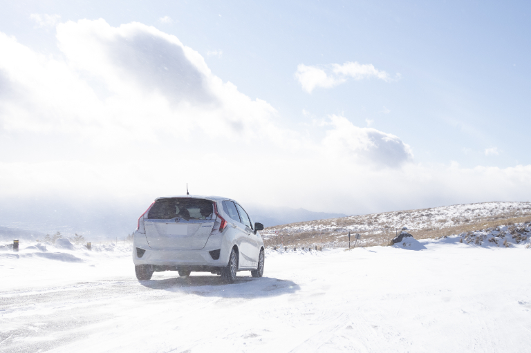 相棒になって1年！